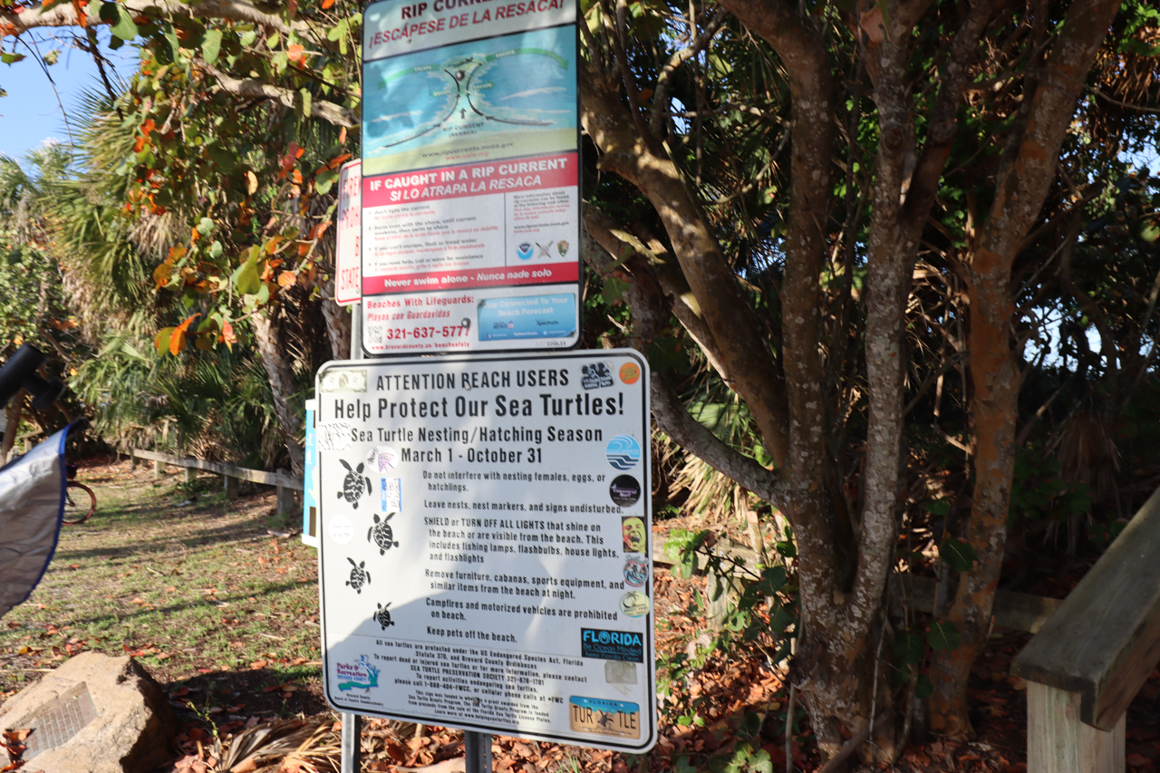 Shandard Beach Signs