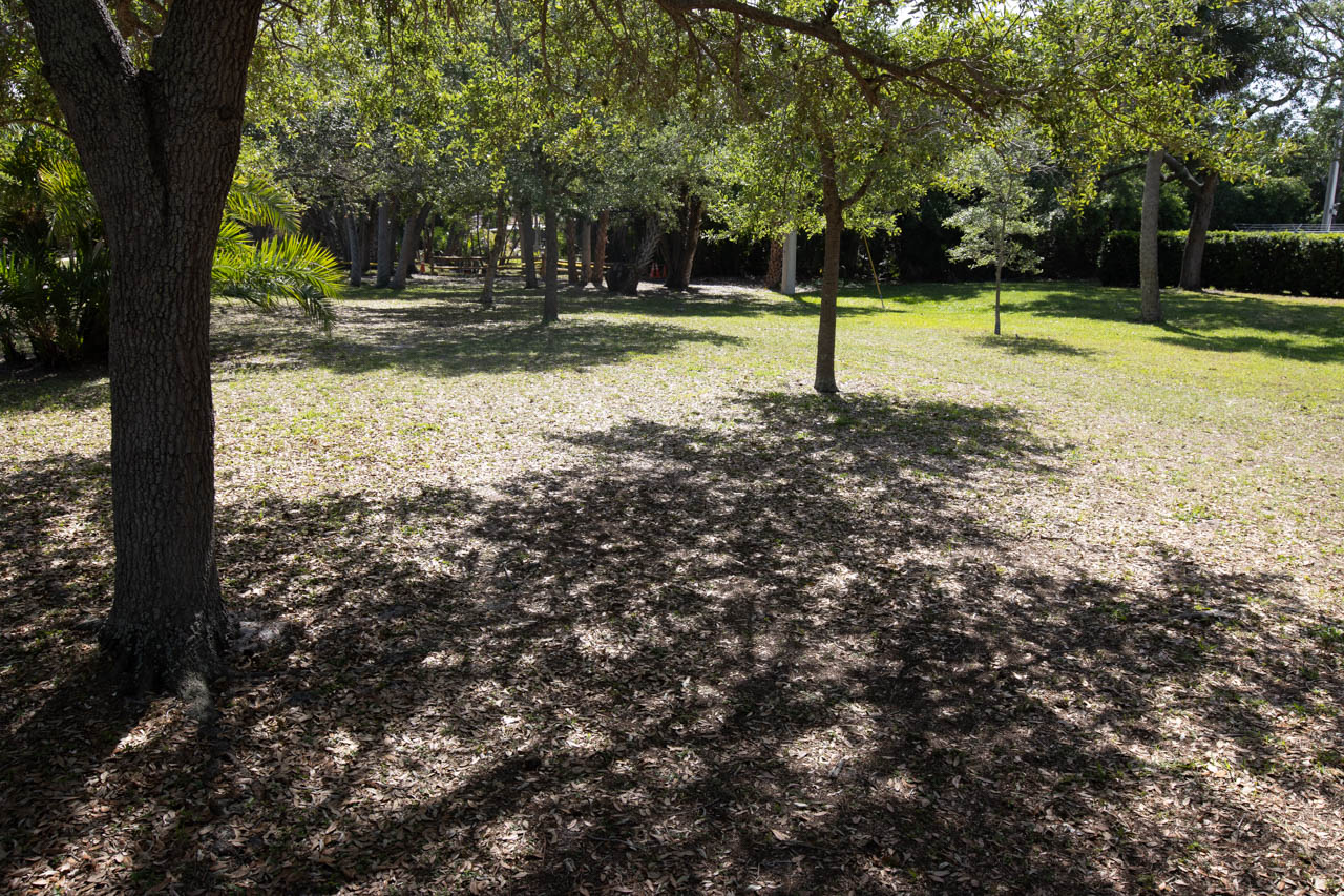 Quiet lawn area on the front (street) side